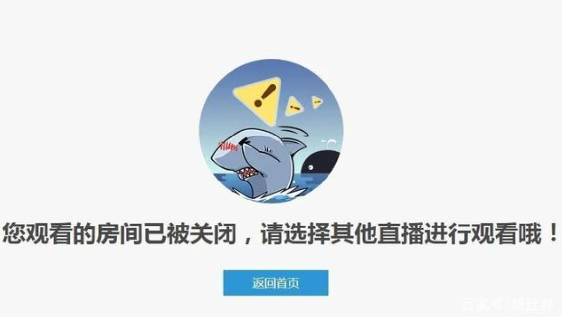 斗鱼王羽杉怎么不直播了，王羽杉直播间怎么没了