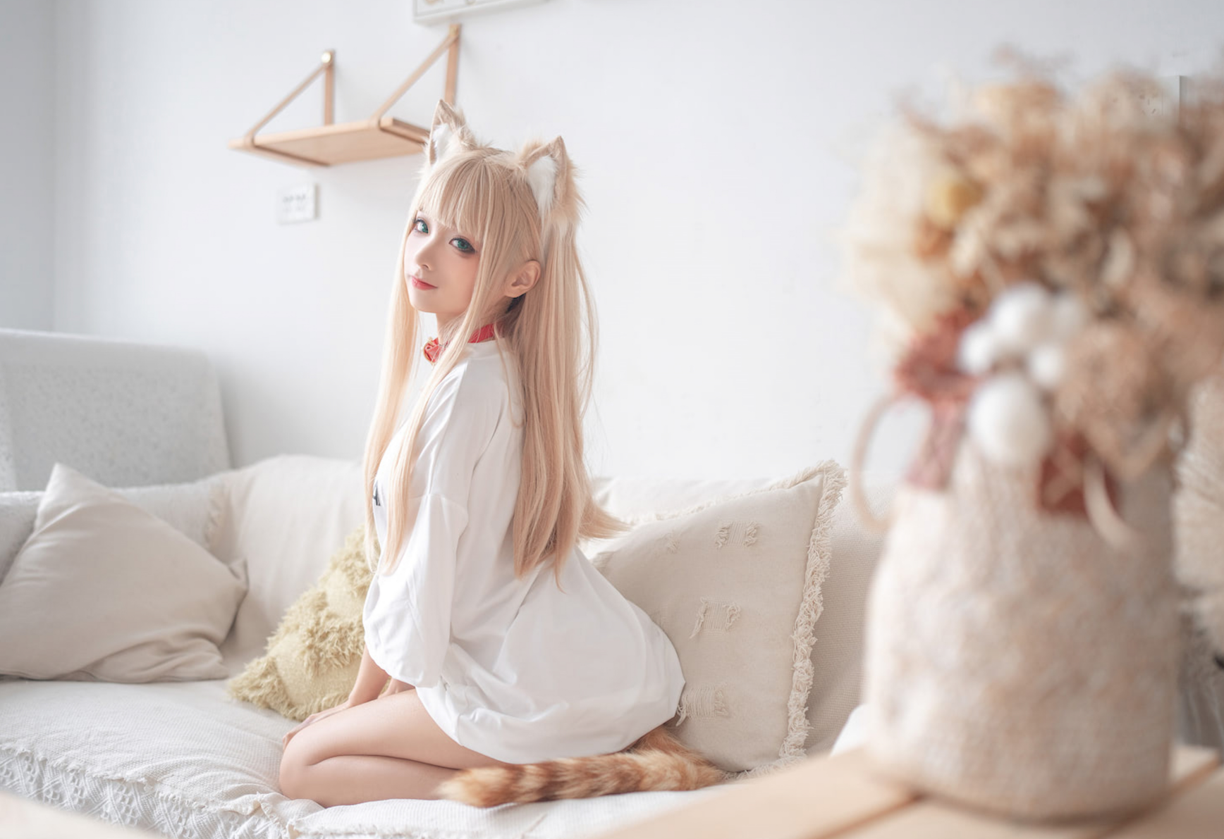 网上说的蠢沫沫黄豆粉cos区是什么梗，蠢沫沫黄豆粉插件是什么