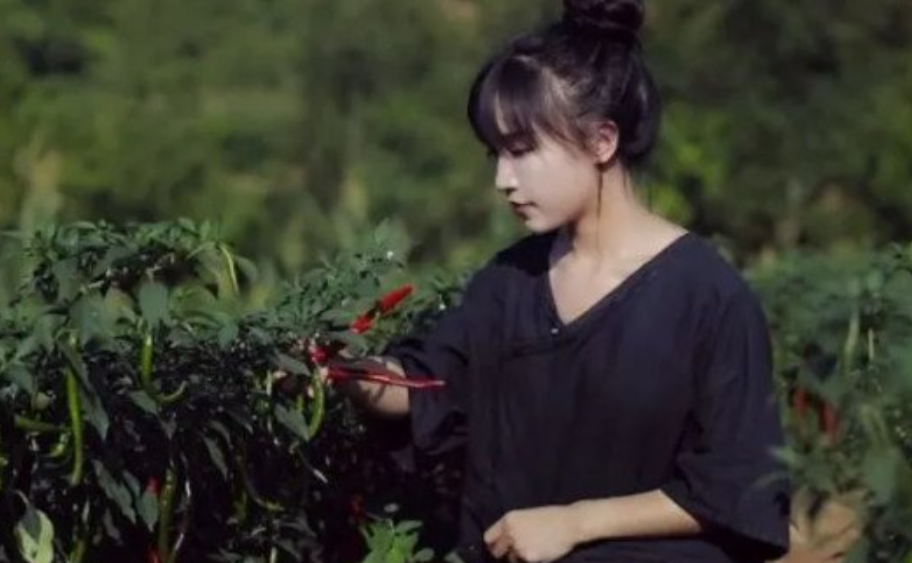 李子柒事件是怎么回事,现在是什么情况 李子柒事件是怎么回事,现在是什么情况