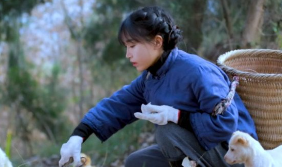 李子柒事件是怎么回事,现在是什么情况 李子柒事件是怎么回事,现在是什么情况