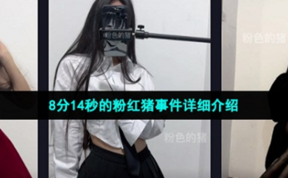 抖音网红粉色的猪陈佩奇圈子8分钟视频在哪看,网友直呼绝了