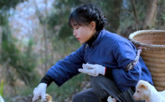 李子柒事件是怎么回事,现在是什么情况