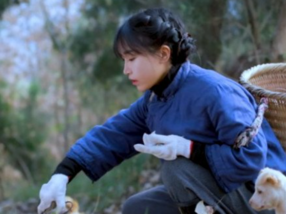 李子柒事件是怎么回事，现在是什么情况